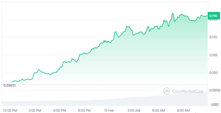 دلیل افزایش 20 درصدی قیمت دوج کوین چیست؟