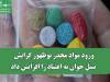 ورود مواد مخدر نوظهور گرایش نسل جوان به اعتیاد را افزایش داد
