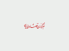 امکان واردات کالاهای اساسی از گمرکات فراهم شد
