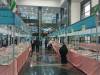 هفدهمین نمایشگاه سراسری کتاب آذربایجان غربی در ارومیه افتتاح شد