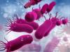 عفونت های باکتریایی عامل یک هشتم مرگ های جهان