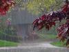 بارش باران و کاهش محسوس دما در ۱۶ استان 