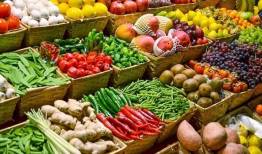 حضور ۴۳۰ شرکت داخلی و خارجی در نمایشگاه نهاده های کشاورزی امسال