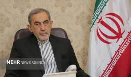 پیام تسلیت علی اکبر ولایتی در پی شهادت وزیر اطلاعات