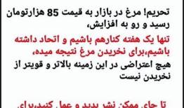 دعوت علی کریمی به تحریم مرغ