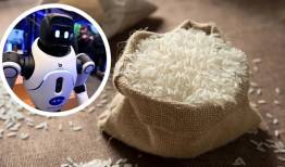 استفاده از برنج در ساخت روبات‌ها و تجهیزات مقاوم  
