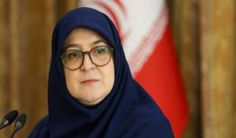 قدردانی سخنگوی دولت از هنرمندان متعهد به ایران