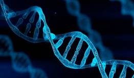 آغاز به کار دیتاسنترهای حاوی DNA تا ۱۰ سال آینده