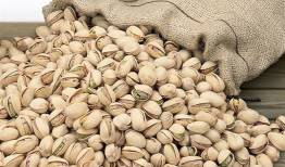 پیش بینی افزایش ۸۰ درصدی تولید پسته در کشور