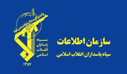 عنصر تجزیه‌طلب در مشگین شهر دستگیر شد