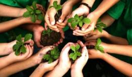 سازمان‌های مردم‌نهاد؛ فرصت مغفول توسعه در استان بوشهر