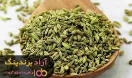 چگونه با سرمایه گذاری کردن به ثروت رسیدم؟
