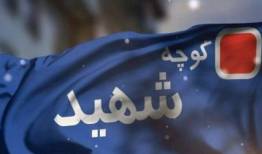 نامگذاری ۱۰۰ معبر منطقه ۱۴ تهران به نام شهدا