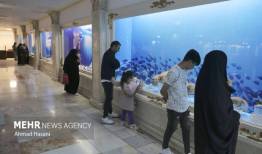 بازدید۶ میلیون نفر از موزه‌ها و اماکن فرهنگی‌تاریخی تا ۱۱ فروردین