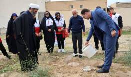 پویش «سرو ایران» در تنگستان برگزار شد