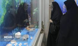 بازدید از موزه‌ها برای معلمان و اساتید دانشگاه رایگان است