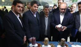 بازدید رئیس بنیاد مستضعفان ازدستاوردهای کارآفرینان بنیاد علوی در کرمان