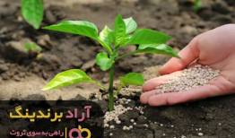 رنگی که کود به زندگی من داد