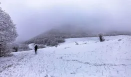 سازمان هواشناسی برای آخر هفته هشدار داد