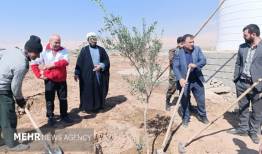 پویش «به یاد رهبر شهید» در گرمسار؛ کاشت ۵ هزار نهال در ورودی شهر