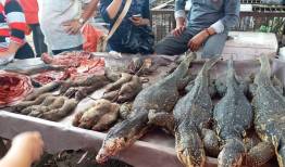 تصاویری بهت‌آور از بازار مواد غذایی در ووهان!