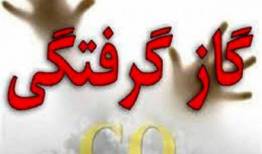 نصب غیر اصولی بخاری عامل گاز گرفتگی خانواده ۶ نفره دورودی بود