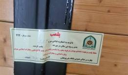 "کافه سگ‌ها" پلمب شد