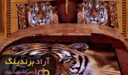 صبر، استقامت و انگیزه ترکیبی بی نظیر برای موفقیت است