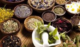 سطح زیر کشت گیاهان دارویی افزایش می یابد