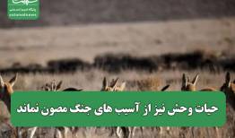 حیات وحش نیز از آسیب های جنگ مصون نماند