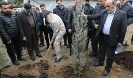 آغاز کاشت ۲۵ هزار نهال در بوستان چیتگر با پویش «احیا چیتگر»