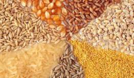 بلاتکلیفی قیمت کالاهای اساسی/الزام شناسنامه برای باغات و محصولات