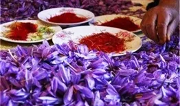 قیمت جدید زعفران اعلام شد
