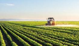 رفع تنگناهای فناورانه برای تأمین امنیت غذایی