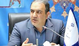 معضل اصلی هپکو مالکیت این شرکت بود