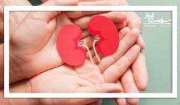 میتوان بعد از اهدای کلیه یک زندگی عادی داشت؟