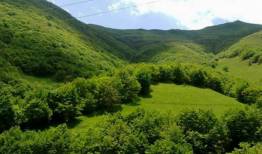 امضا تفاهم نامه در راستای  پویش «ایران سرسبز-ایران قوی»