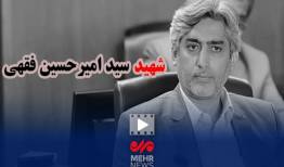 بدون تعارف با خانواده دانشمند هسته‌ای، شهید امیرحسین فقهی
