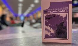 مقاومت زنان، تاریخ نانوشته پایداری