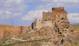 درگذشت یک باستان شناس
