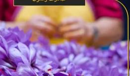 ماجرای نمونه برداری مجدد از محموله بزرگ زعفران صادراتی در گمرک