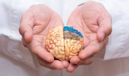 ۷ نشانه مهم ابتلا به آلزایمر