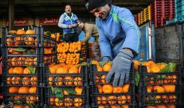 نوبری‌های پاییز؛ هنوز هم گران
