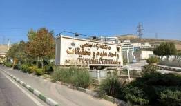جذب ۲۵۰۰دانشجو در کارآموزی و کارورزی؛ ایجاد اشتغال از دل رویداد «صدرا»