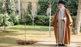 امسال یک درخت هم به یاد او خواهم کاشت