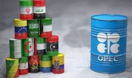 نشست نمایندگان بخش انرژی آمریکا و سازمان اوپک 