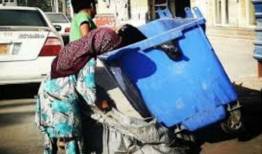 پایش آمادگی منطقه ۸ تهران برای ساماندهی زباله‌گردها