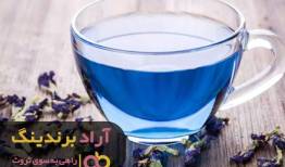 مسیر ثروتمند شدن را با گیاهان دارویی یافتم