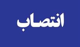 رئیس کارگروه تحقیق و توسعه داده محور منصوب شد
