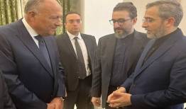 پیگیری مذاکرات دو کشور تا حصول نتایج مورد نظر 